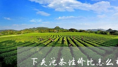 下关沱茶性价比怎么样/2023061016958