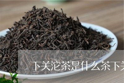 下关沱茶是什么茶下关沱茶口感特点/2023060473925