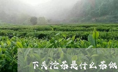 下关沱茶是什么茶做的/2023071675368