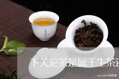 下关沱茶是属于生茶还是熟茶/2023052710627