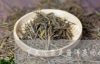 下关沱茶是普洱茶吗6/2023062355247