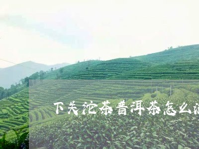 下关沱茶普洱茶怎么泡/2023080217503