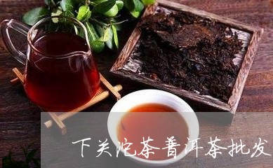 下关沱茶普洱茶批发/2023091445169