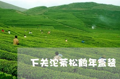 下关沱茶松鹤年盒装/2023071603716