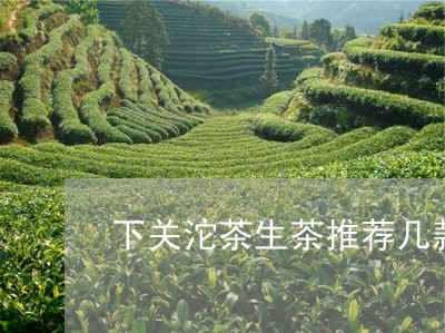 下关沱茶生茶推荐几款/2023071685293