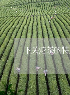 下关沱茶的特点幽门清茶有没有效果/2023060423948