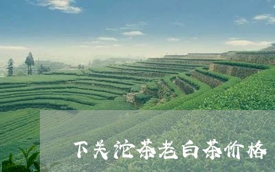 下关沱茶老白茶价格/2023071496161