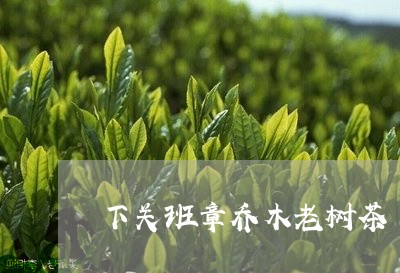 下关班章乔木老树茶/2023042525170