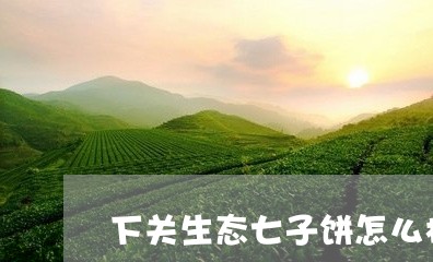 下关生态七子饼怎么样/2023071633625