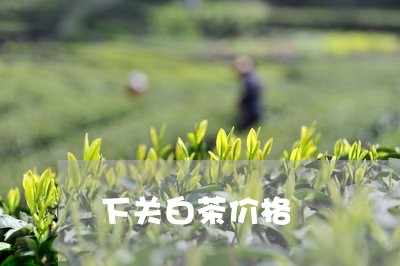 下关白茶价格/2023051207269