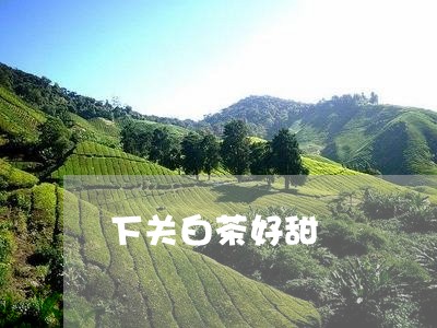 下关白茶好甜/2023051295048