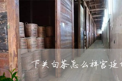 下关白茶怎么样宫廷贡品普洱茶价格/2023060361493