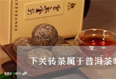 下关砖茶属于普洱茶吗/2023063061824