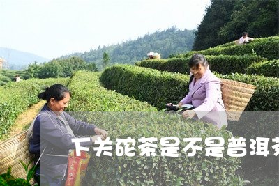 下关砣茶是不是普洱茶/2023080258472