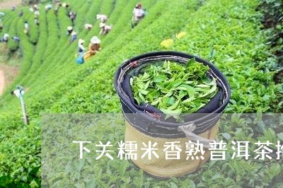 下关糯米香熟普洱茶推荐/2023122011515