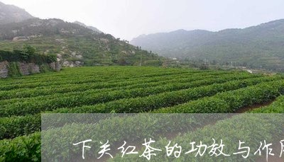 下关红茶的功效与作用/2023092196926