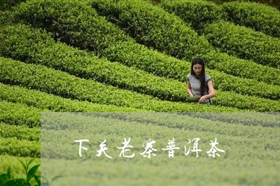 下关老寨普洱茶/2023082677058