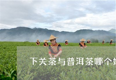 下关茶与普洱茶哪个好/2023100776939