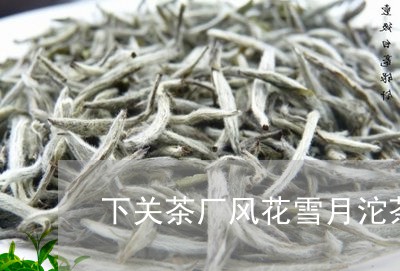 下关茶厂风花雪月沱茶/2023092161625