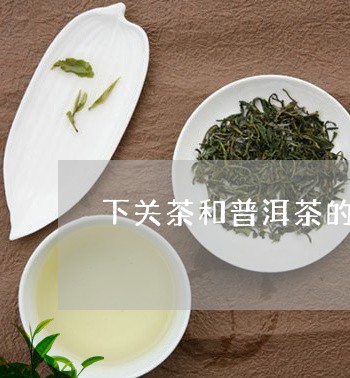 下关茶和普洱茶的区别/2023080256957