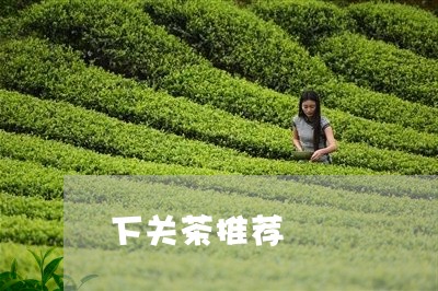 下关茶推荐/2023090258159