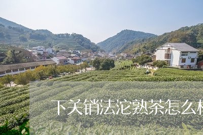 下关销法沱熟茶怎么样/2023061054948