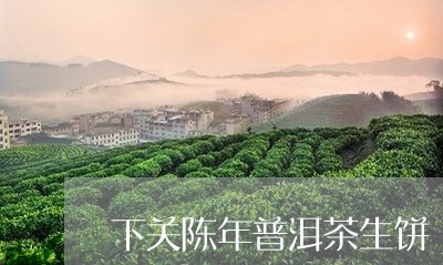 下关陈年普洱茶生饼/2023120508392