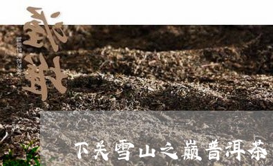 下关雪山之巅普洱茶/2023110908259