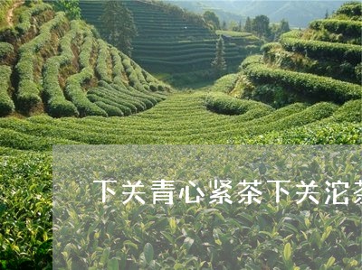 下关青心紧茶下关沱茶宝焰紧茶价格/2023060499272