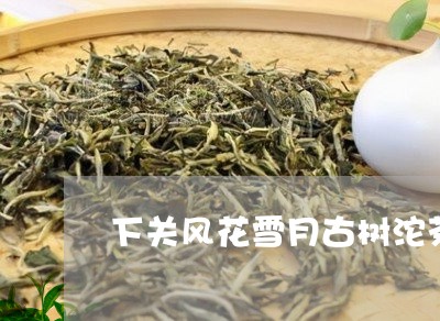 下关风花雪月古树沱茶/2023092152725