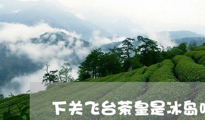 下关飞台茶皇是冰岛吗/2023061285040