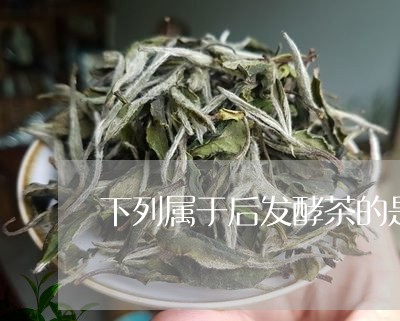 下列属于后发酵茶的是/2023071502826