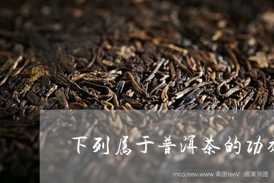 下列属于普洱茶的功效/2023073109482