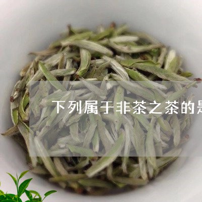 下列属于非茶之茶的是/2023060958291