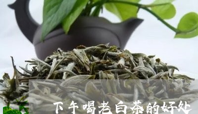 下午喝老白茶的好处/2023071496958