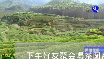 下午好友聚会喝茶图片/2023092193138