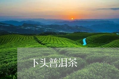 下头普洱茶/2023081540928