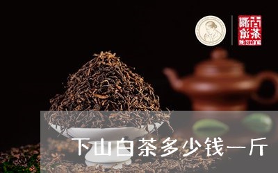 下山白茶多少钱一斤/2023121653726