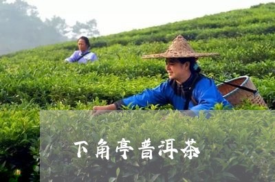 下角亭普洱茶/2023042652633