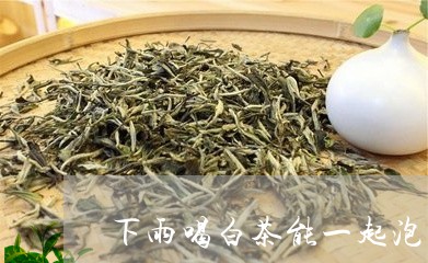 下雨喝白茶能一起泡吗/2023092694158