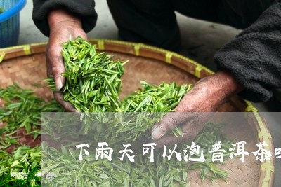 下雨天可以泡普洱茶吗/2023072215048