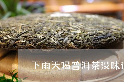 下雨天喝普洱茶没味道/2023092849160