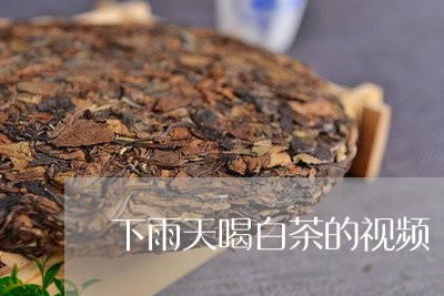 下雨天喝白茶的视频/2023071406039