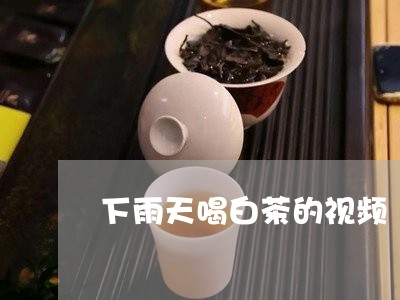 下雨天喝白茶的视频/2023081250372