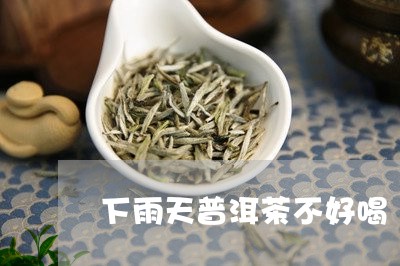 下雨天普洱茶不好喝/2023101640592