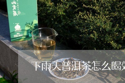 下雨天普洱茶怎么喝效果好/2023082731736