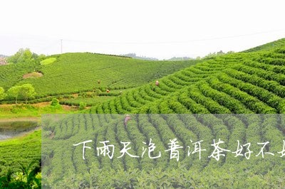 下雨天泡普洱茶好不好/2023061590951