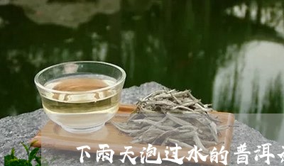 下雨天泡过水的普洱茶/2023061511635