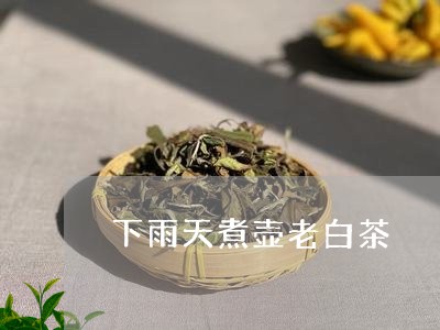 下雨天煮壶老白茶/2023061421483