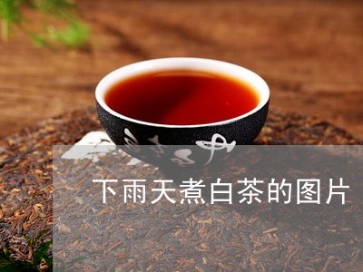 下雨天煮白茶的图片/2023121693625